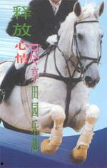 东方骑士娱乐,引领潮流的娱乐新势力