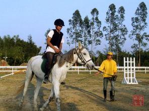 东方骑士娱乐,引领潮流的娱乐新势力